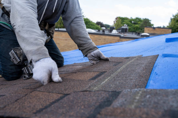 Best Storm Damage Roof Repair  in Huntsville, AL
